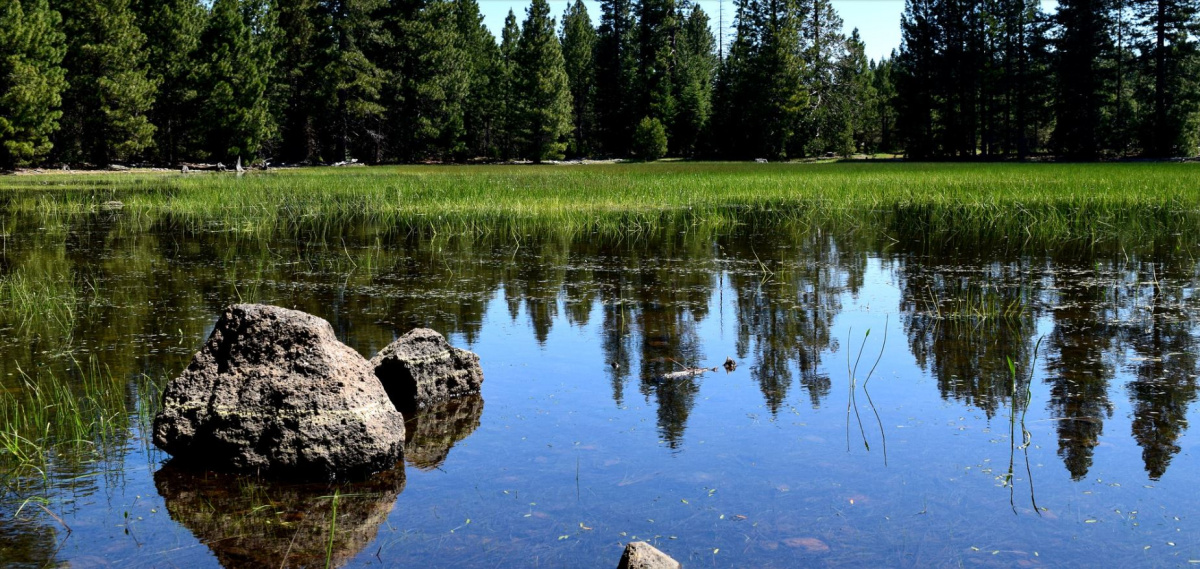 Vernal Pools preserve California's natural landscape Bureau of Land
